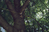 thm_dc0008m.gif