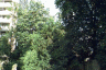 thm_dc0009m.gif