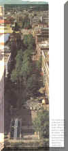 Copy of Koenig_Street.jpg (131952 Byte)